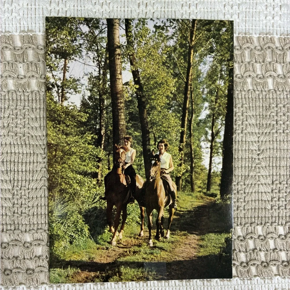 Vintage Horse-Themed Postcard Set of‎ 6